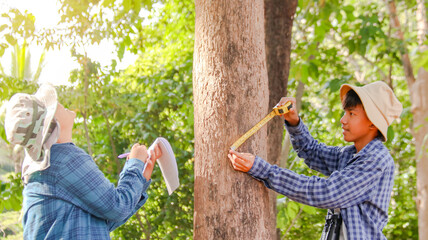 Young Asian boys are using a measure tape to measure a tree in a local park, soft and selective...