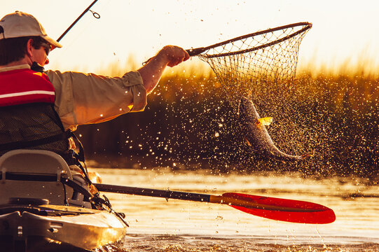 A man nets a redfish while fishing from a kayak in Bayou Thunder Von Tranc, Louisiana