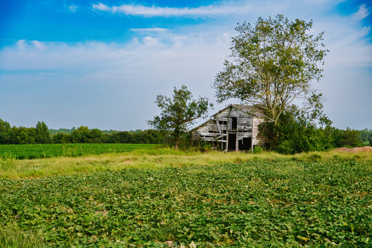 A dilapidated barn in a green field in North Carolina