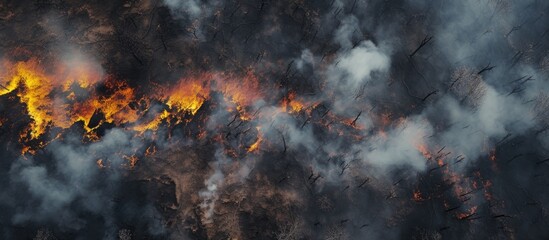 Aerial perspective of a forest fire. Black ash covers the ground. Clear division of burned area. Vertical view. - obrazy, fototapety, plakaty