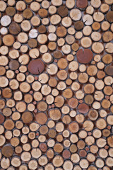 Background of tree stumps, natural wood background