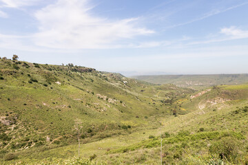 Green  valley between hills in the El Al National Nature Reserve located in the northern Galilee in the North of Israel