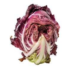 Obraz premium front view of a spoil rotten radicchio vegetable isolated on a white transparent background 