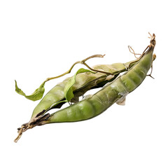 front view of a spoil rotten snow pea vegetable isolated on a white transparent background  - obrazy, fototapety, plakaty