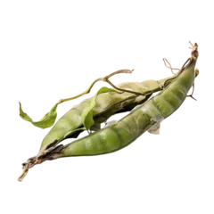 Fotobehang front view of a spoil rotten snow pea vegetable isolated on a white transparent background  © SuperPixel Inc