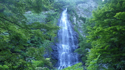 田舎の山間部で見る森の中に流れ落ちる滝の水