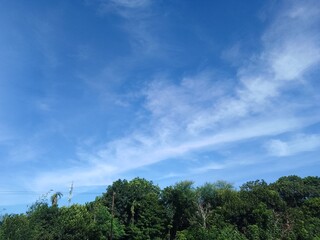 clouds over the forest