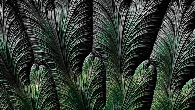Green tropical leaf fractal  design flowing. Loop able background animation