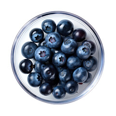 Blueberry on a Plate Isolated on Transparent or White Background, PNG