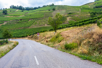 Fototapeta na wymiar Route des vins d’Alsace 
