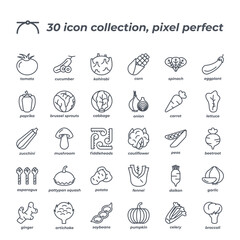 Vector sign of the veggies icon set isolated on a white background. symbol color editable.