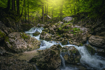 Brook with cascades in the green forest, Slovenia