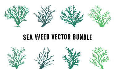 Seaweed vector art Set, Sea coral illustration clipart bundle