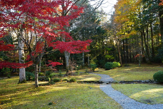 Image of Autumn, Red and Orange Maple Leaf - 秋のもみじ 美しい紅葉の庭園