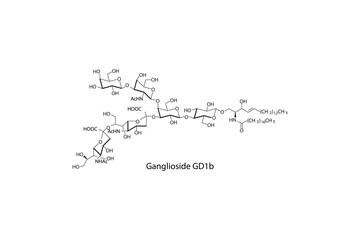 Molecular structure diagram of Ganglioside GD1b white Scientific vector illustration.