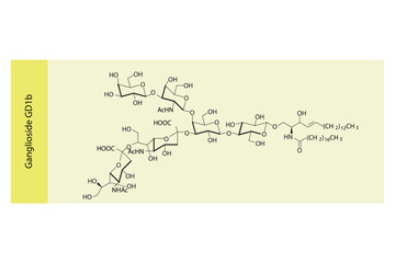 Molecular structure diagram of Ganglioside GD1b yellow Scientific vector illustration.