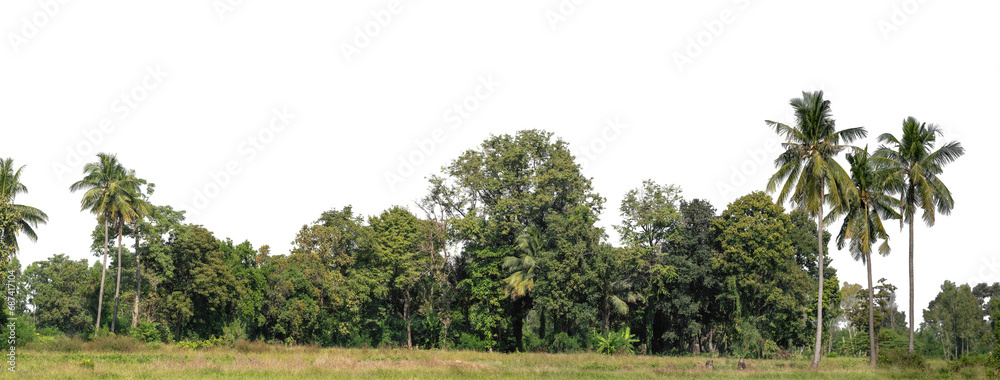 Aufkleber A group of rich green trees High resolution on transparent background..