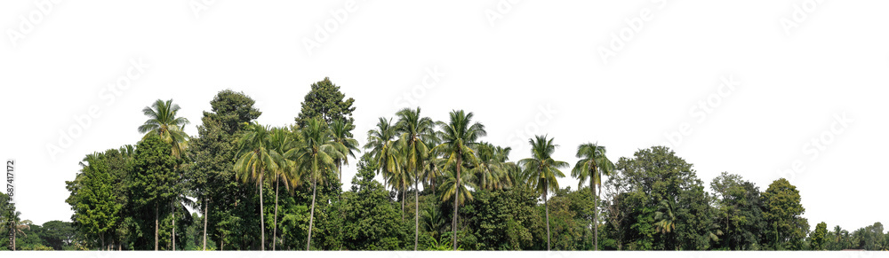 Aufkleber A group of rich green trees High resolution on transparent background.