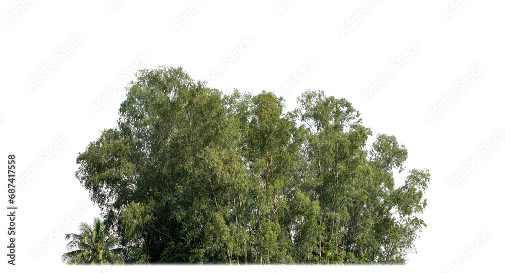 Aufkleber a group of rich green trees high resolution on transparent background.