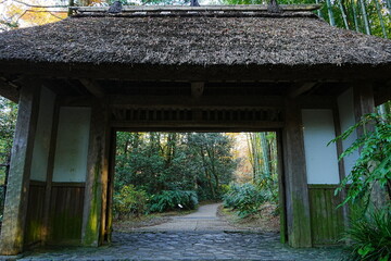 Traditional Japanese Gate surrounded by Green Fresh Bamboo Forest in Japan - 日本 公園 竹林 茅葺屋根の門