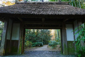 Traditional Japanese Gate surrounded by Green Fresh Bamboo Forest in Japan - 日本 公園 竹林...