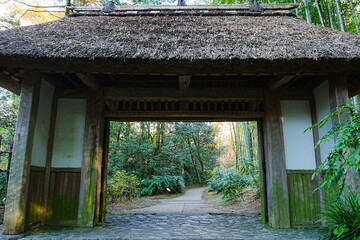 Traditional Japanese Gate surrounded by Green Fresh Bamboo Forest in Japan - 日本 公園 竹林...