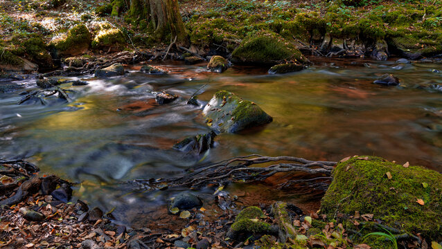  Der Flusslauf der Thulba in der Kernzone des Biosph&auml;renreservats Rh&ouml;n zwischen Oberthulba und Thulba, Landkreis Bad Kissingen, Unterfranken, Franken, Bayern, Deutschland