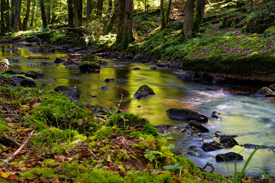  Der Flusslauf der Thulba in der Kernzone des Biosph&auml;renreservats Rh&ouml;n zwischen Oberthulba und Thulba, Landkreis Bad Kissingen, Unterfranken, Franken, Bayern, Deutschland