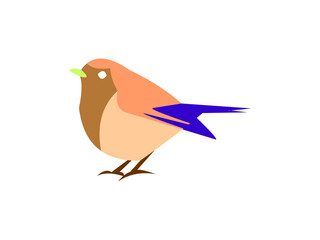 Robin bird logo icon template