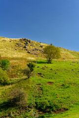 Der Simmelsberg bei Gersfeld im Biosphärenreservat Rhön, Hessen, Deutschland