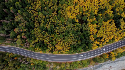 a road in the mountains in an autumn multicolored forest shot from above on a copter