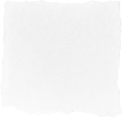 White Ripped Paper