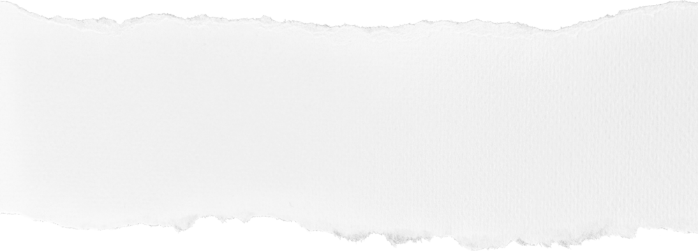 White Ripped Paper