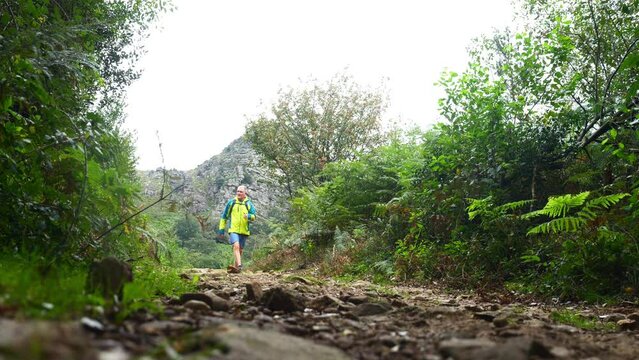 Mature man hiking on 'La Rhune' in the French Basque Country