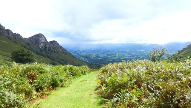 Mature man hiking on 'La Rhune' in the French Basque Country