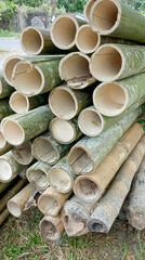 The pile of bamboo sticks is young, taken at close range