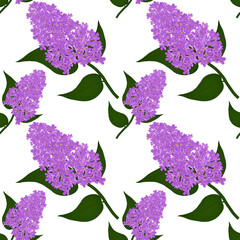Spring blossom. Seamless pattern.Lilac branch purple.