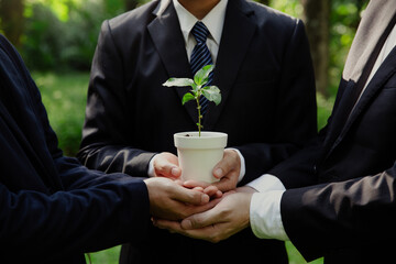 Environmental Care, Businesspeople holding green plant. Green energy and sustainability in a clean...