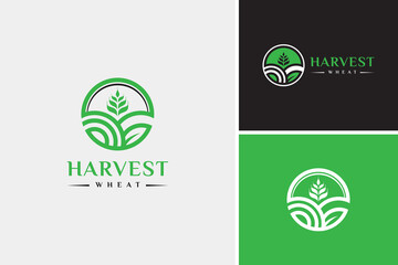 Nature farm logo, farming logo, harvest wheat logo design vector template