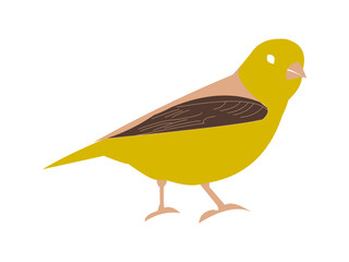 goldfinch Logo Images
