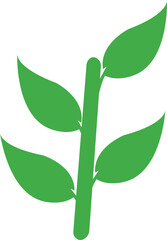 Fototapeta premium Set of green leaf icons. Leaves of trees and plants. Leaves icon. Collection green leaf. Elements design for natural, eco, bio, vegan labels. Vector background and texture 