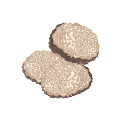 Summer Truffle (Tuber aestivum Vitt), black summer truffle,illustration cartoon design.