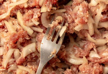 Fork in minced meat and onions