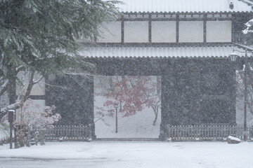 紅葉時期の季節外れの積雪〜弘前公園