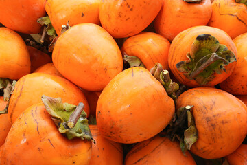 干し柿作成用のヘタ付き蜂屋柿（渋柿）
