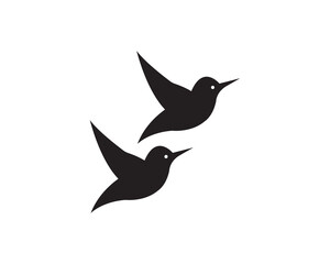 Bird wildlife icon vector symbol design illustration