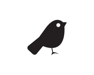 Bird wildlife icon vector symbol design illustration