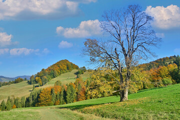 Obraz premium Colorful autumn view of mountains