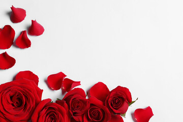 Beautiful red roses and petals on white background, flat lay. Space for text