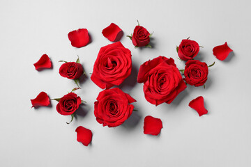 Beautiful red roses and petals on grey background, flat lay